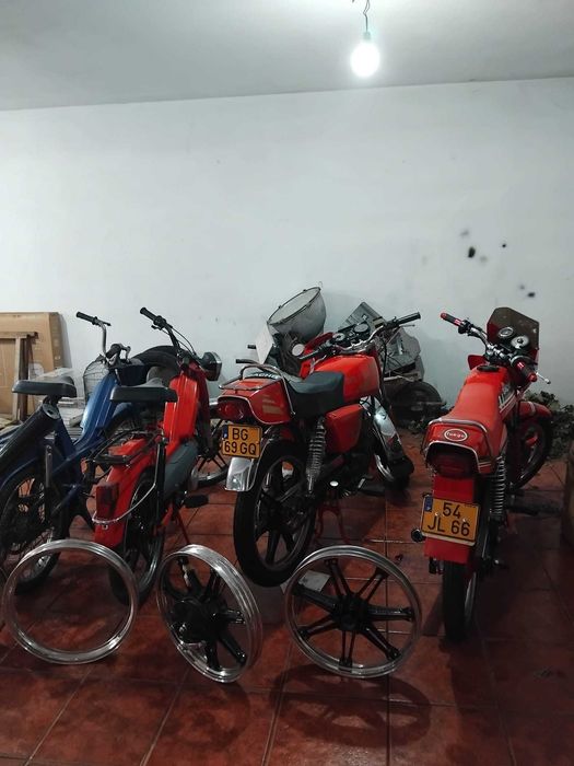 Motas sach, lotus e fuego