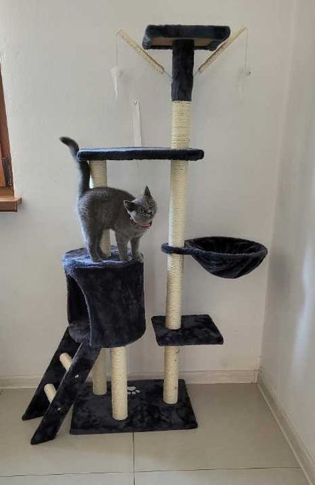 Stylowy wysoki drapak dla kota wiele poziomów + 3 ZABAWKI