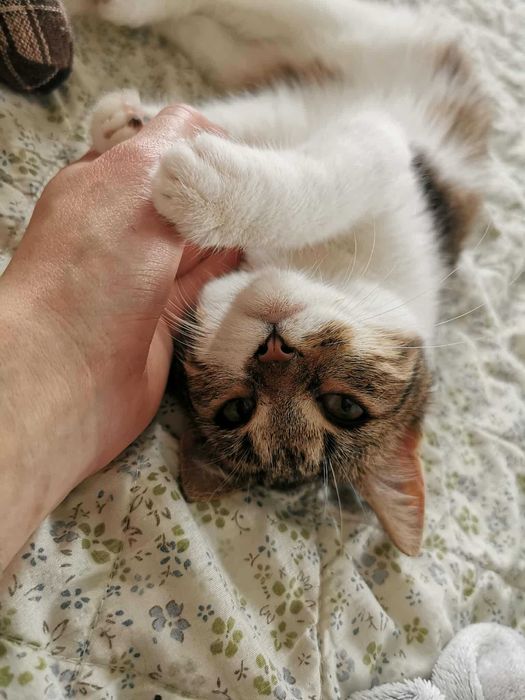 KLUSKA pragnie mieć dom!