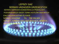 Ariston instalator ,serwis ,naprawa piecyków i kotłów gazowych