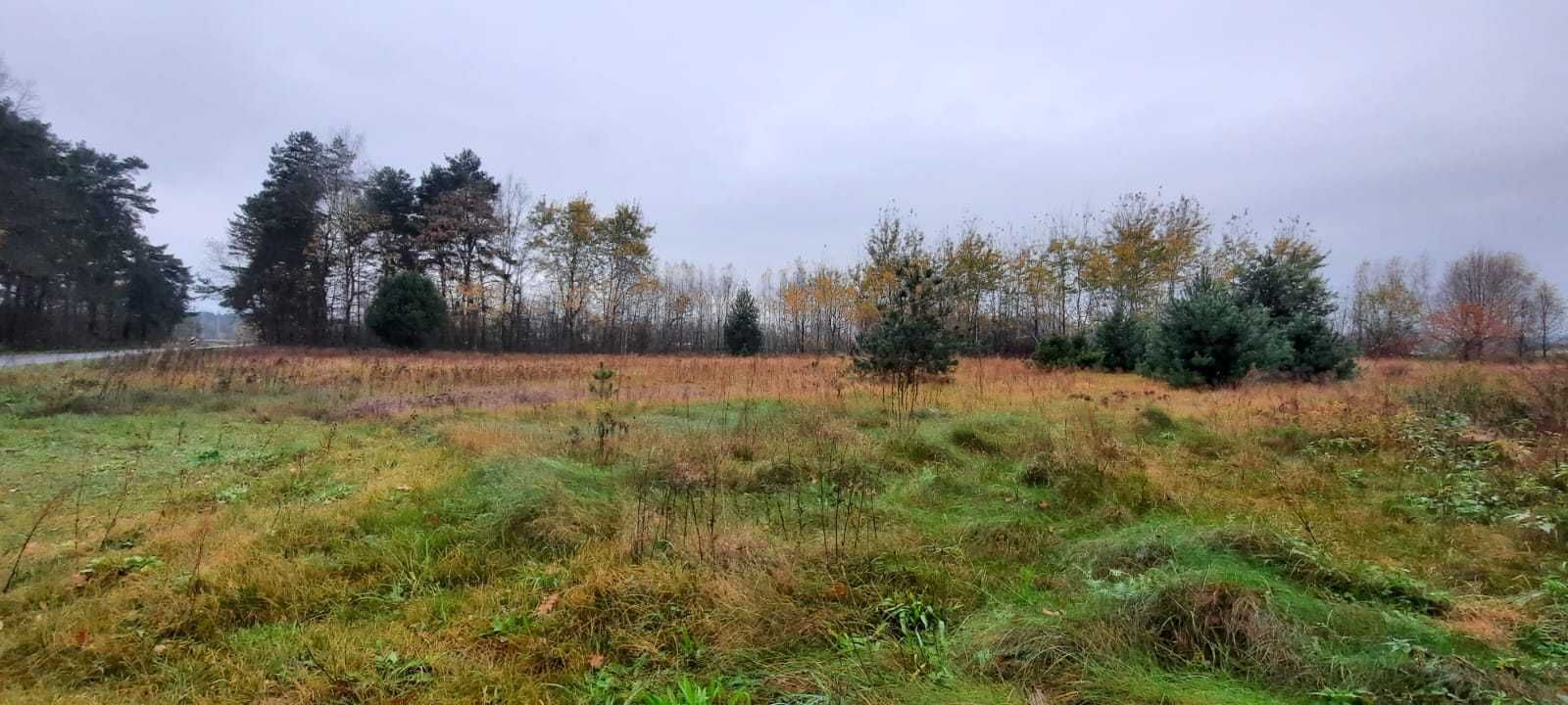 Działka budowlana 560 m2, Podlesie, gm. Lelów