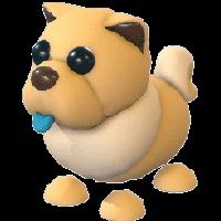 Adopt me Tan chow chow roblox