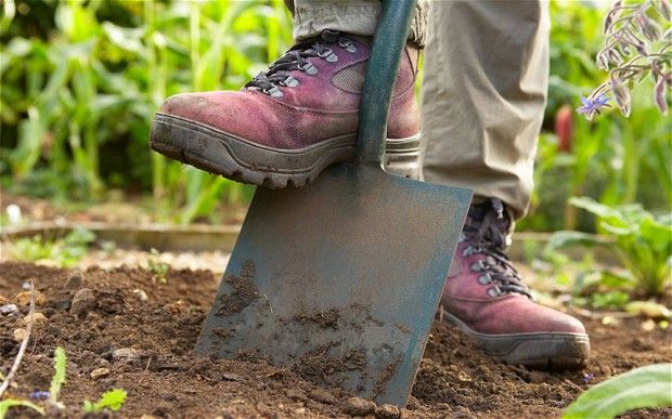 12 TON Dobra Ziemia PRZESIANA pod trawnik humus Dostawa Gratis Knurów