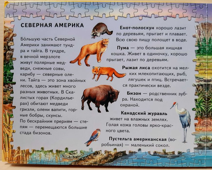Пазлы Животные пяти континентов детские обучающие пазлы звери природа