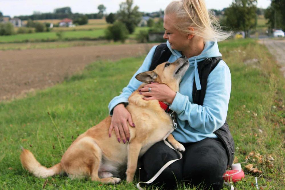 Gwizdek czeka na adopcje