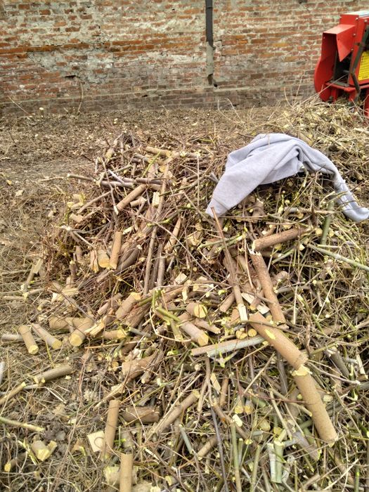 Дрова чурки попиляні 30-40 см,  дробленка, щепа брикети RUF