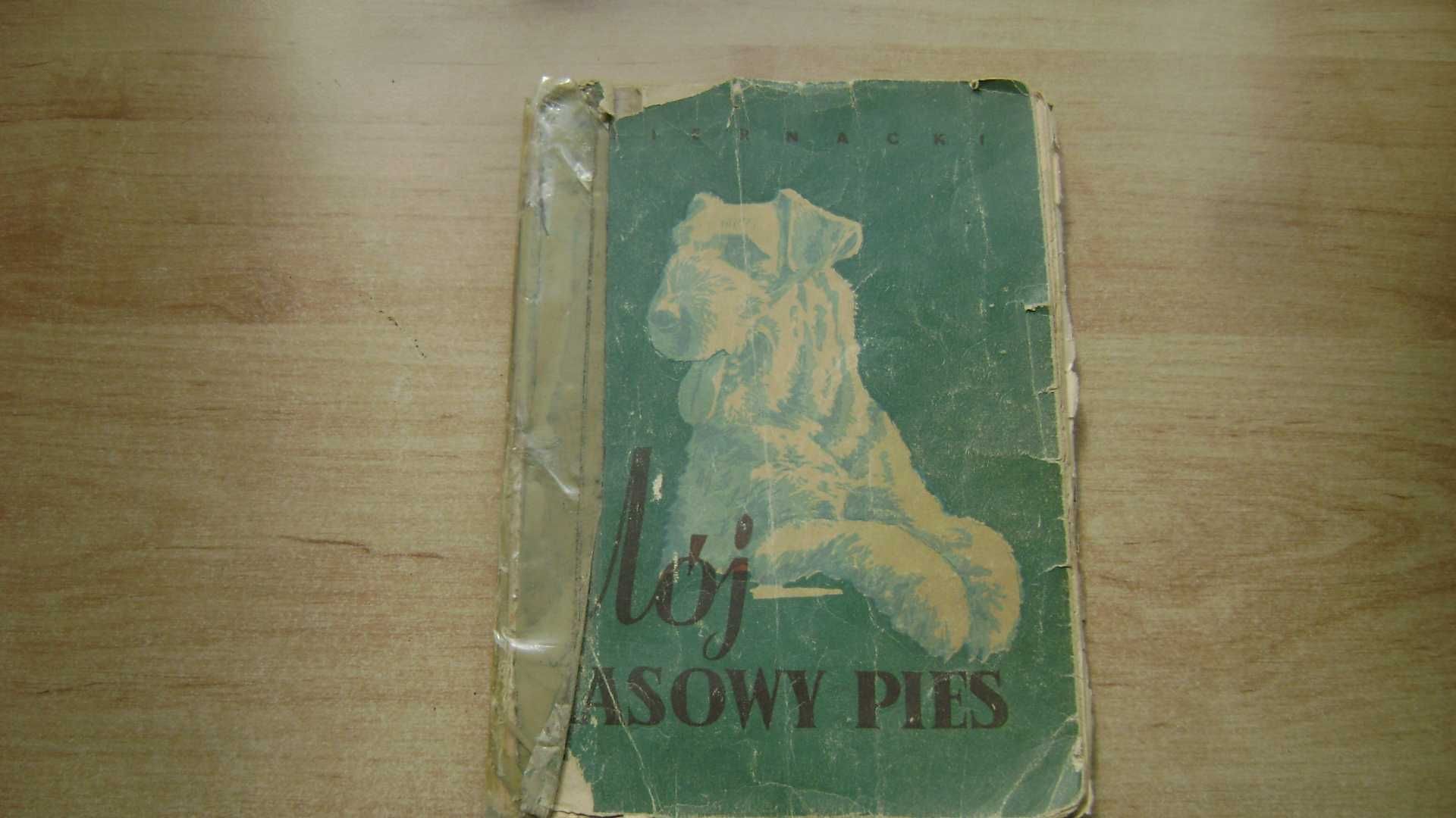 Starocie z PRL - PSY = Książka Mój Rasowy Pies z 1956 r. UNIKAT