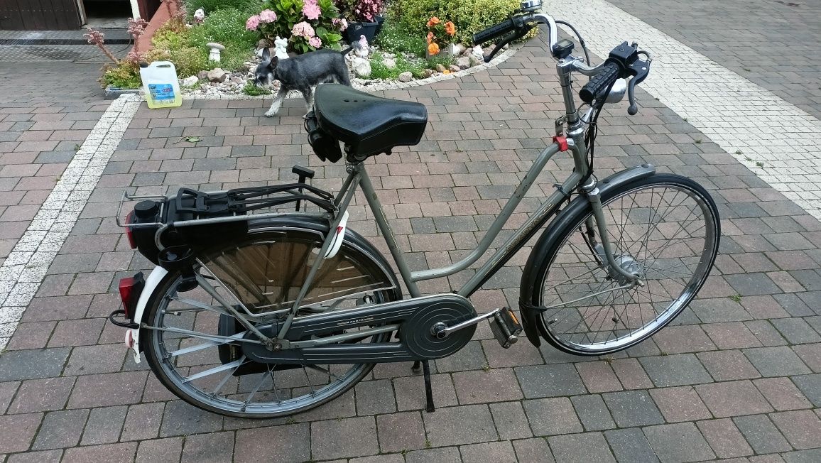 Rower spalinowy Sachs 301a Sparta met