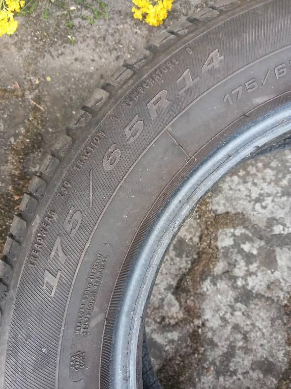 Opony letnie debica 175/65/14r