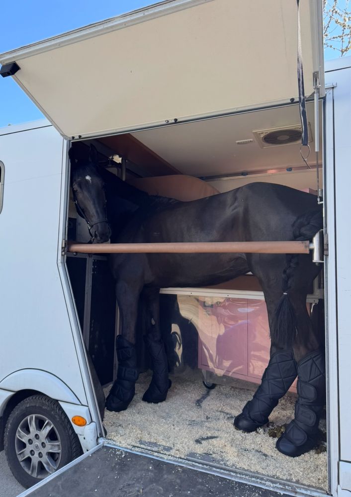 Ochraniacze transportowe komplet waldhausen FULL