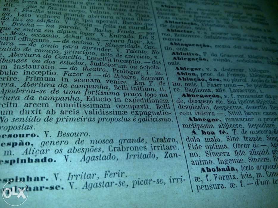 dicionário português-latino (manuel bernardez branco) 1876 livro raro