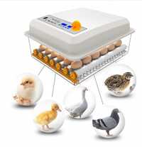 Automatyczny Inkubator ProGrow 24A Innowacyjne Wylęgiwanie Różnych Jaj