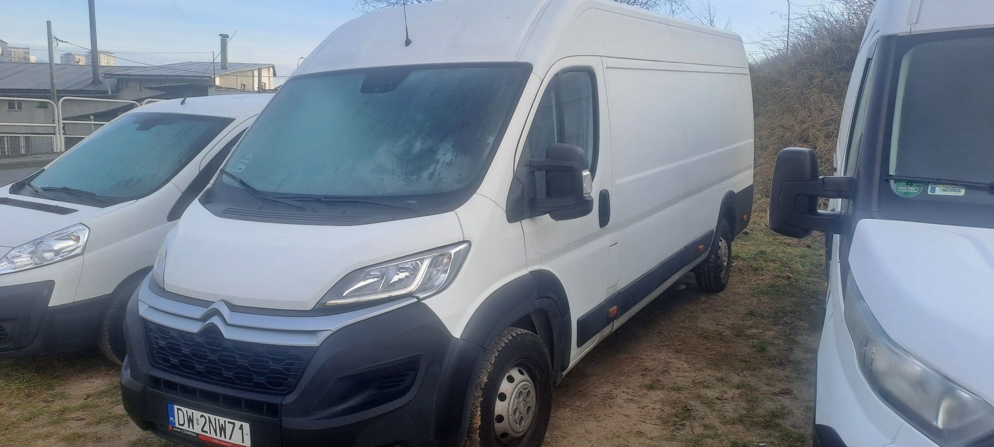 wynajem busa Gdańsk wynajem vana