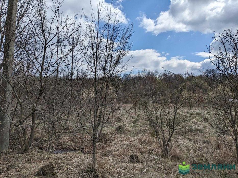 Продається ділянка в с Ценжів 22 сот (1)