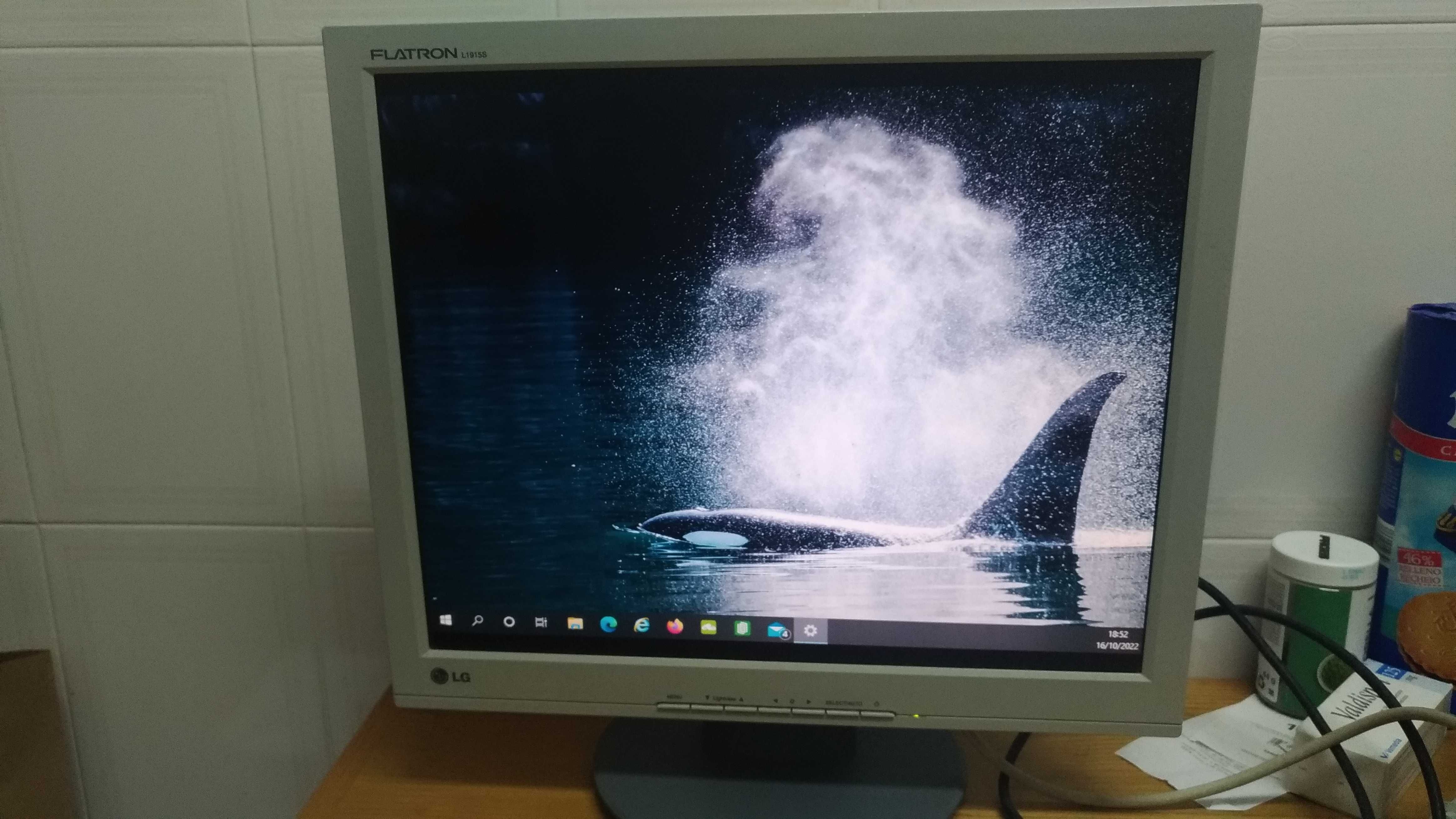 Monitor LG FLATRON 19"