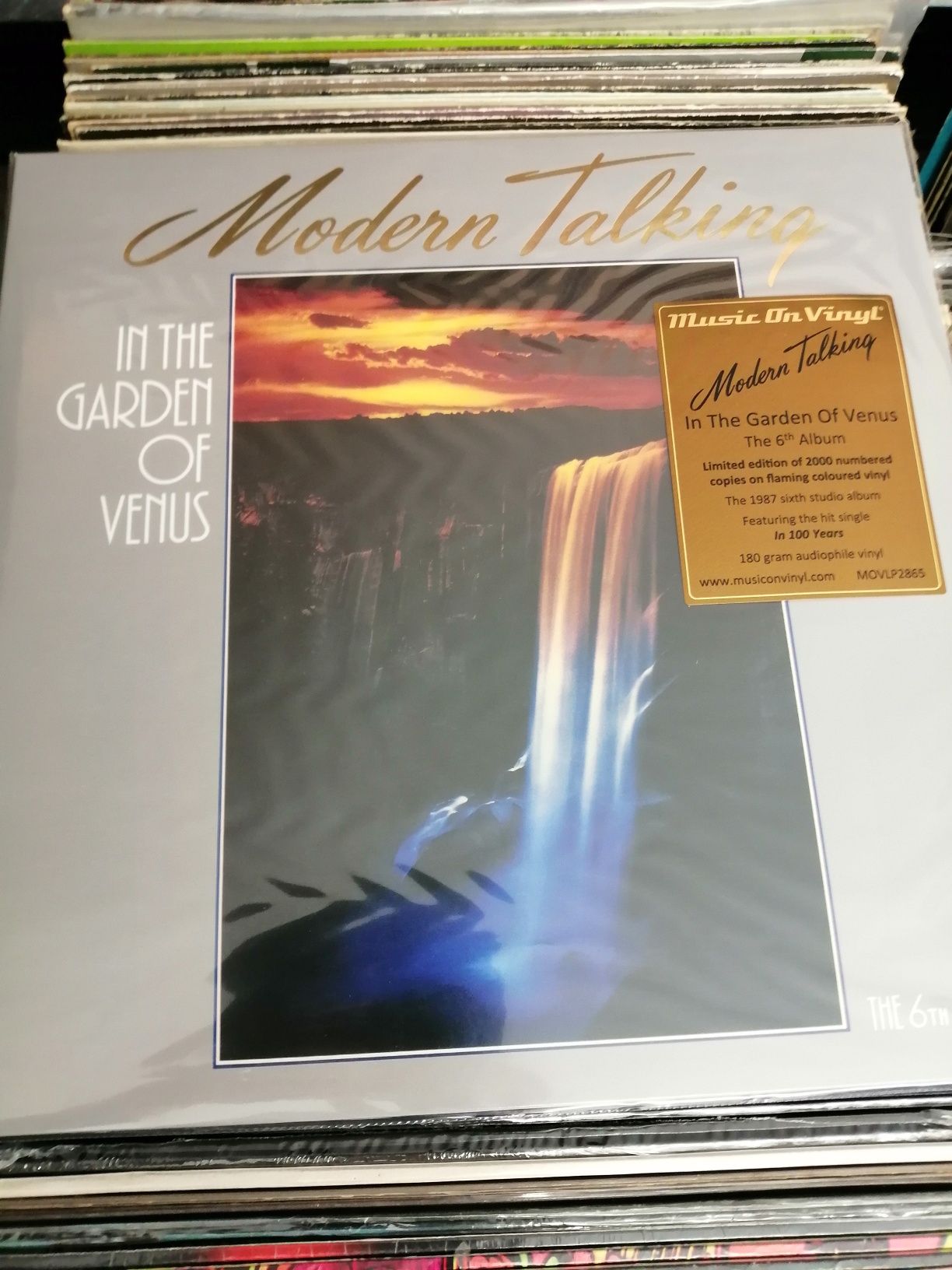 Płyta winylowa Modern Talking In The Garden Of Venus nowa folia kolor