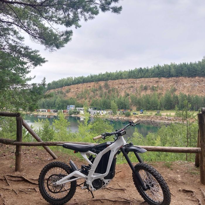 Sur-Ron light bee s/x