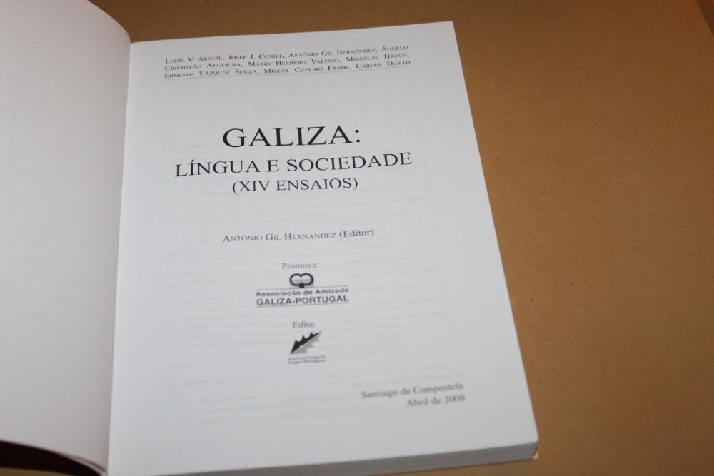 Galiza: Língua e Sociedade (XIV Ensaios)