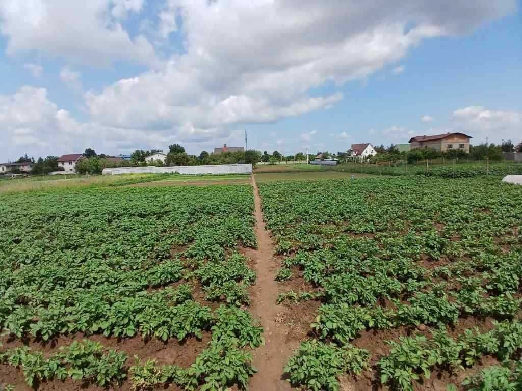 Продаж Будинок з фасадом 30 метрів, с. Красилівка, Броварського р-ну
