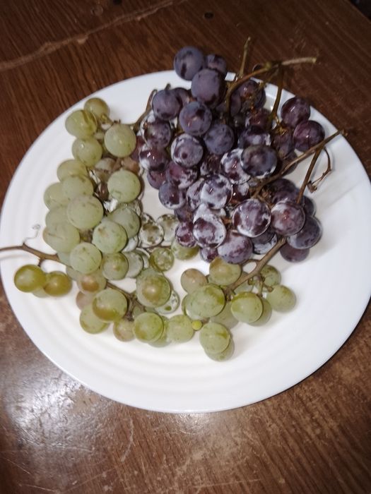 Продам виноград винный.