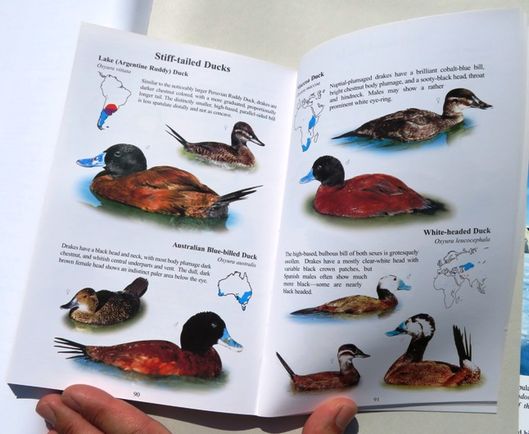 Livro sobre Cisnes, Gansos e Patos ornamentais