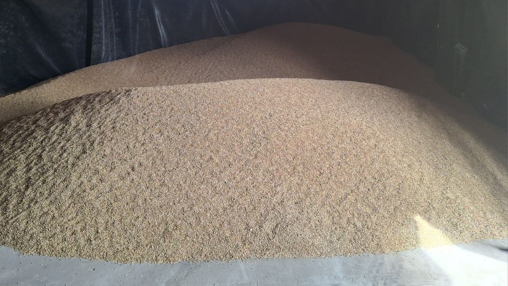 Sprzedam pszenżyto ozime