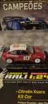 Varias Miniatura rally 1/24