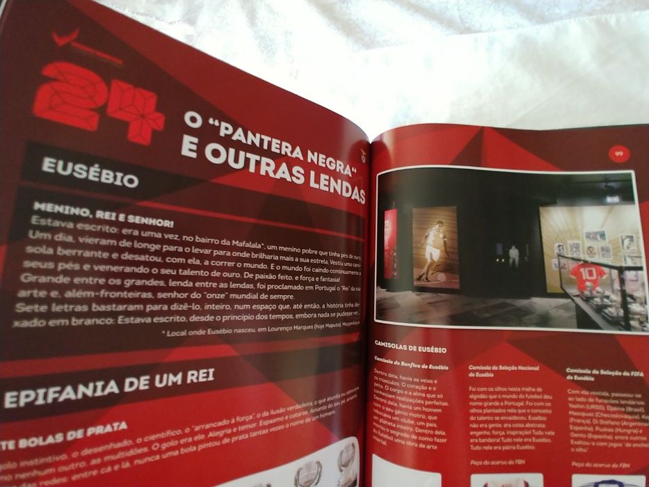 Livro do fã - Benfica