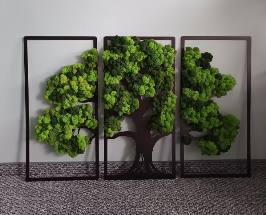 Obraz Tryptyk z mchem chrobotkiem - wiecznie żywy 60/90cm