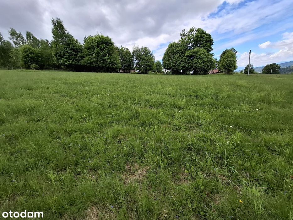 Widokowa działka w Koszarawie