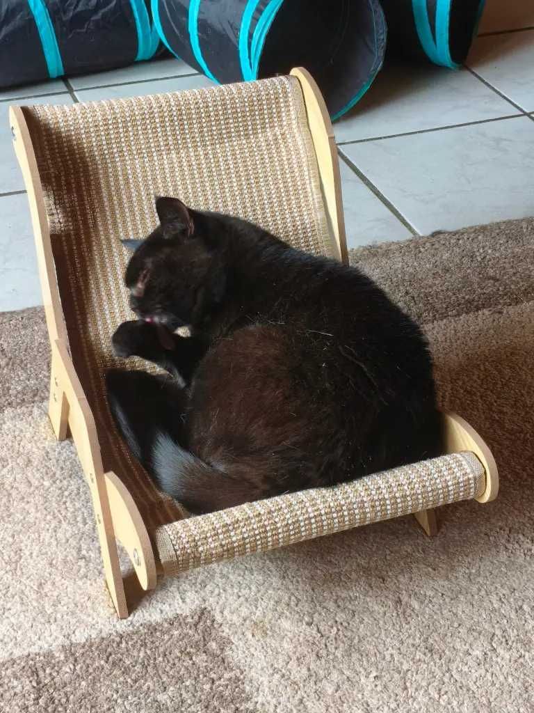 Lindo Arranhador para Gato Em Corda de Sisal