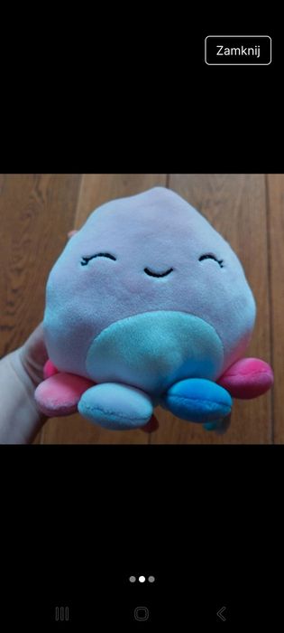 Pluszak ośmiornica
