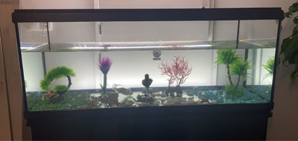 Aquario 200L e bomba enhein nova