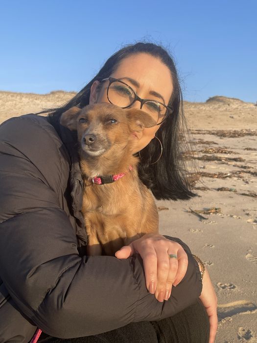 Petsitting zona vila do conde e povoa de varzim