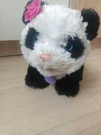 Zabawka panda pom pom