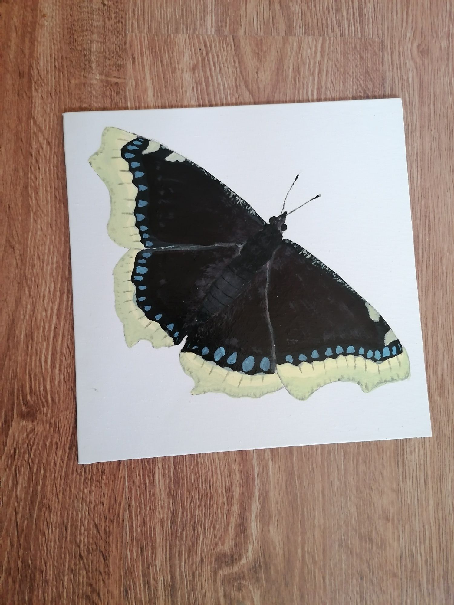 Obraz motyl rusałka żałobnik rękodzieło, zwierzę obrazek handmade