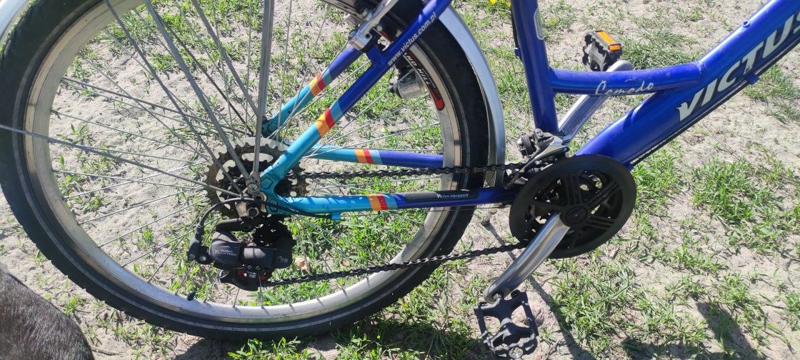 Rower damski Victus, Sparta, Pegasus, Gazelle, Batavus