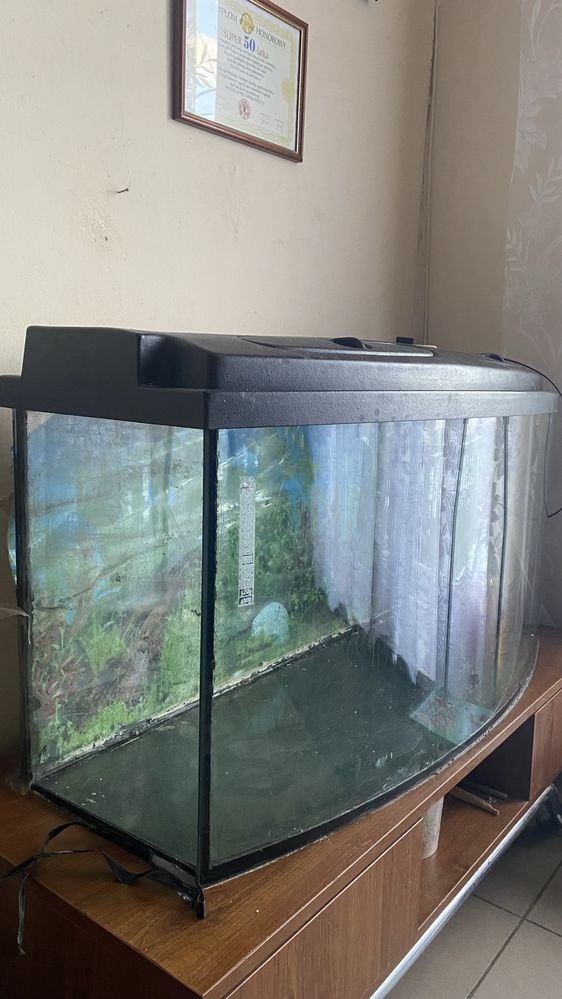 Akwarium panoramiczne 200L + szafka pokrywa osprzęt