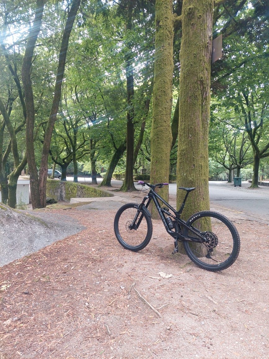 Canyon Torque CF7