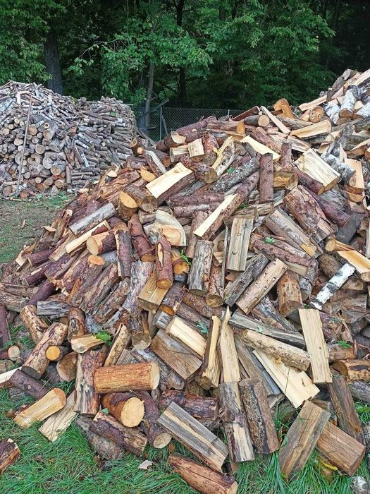 Drewno opałowe i kominkowe Dąb Grab Leszczyna Brzoza Sosna Świerk