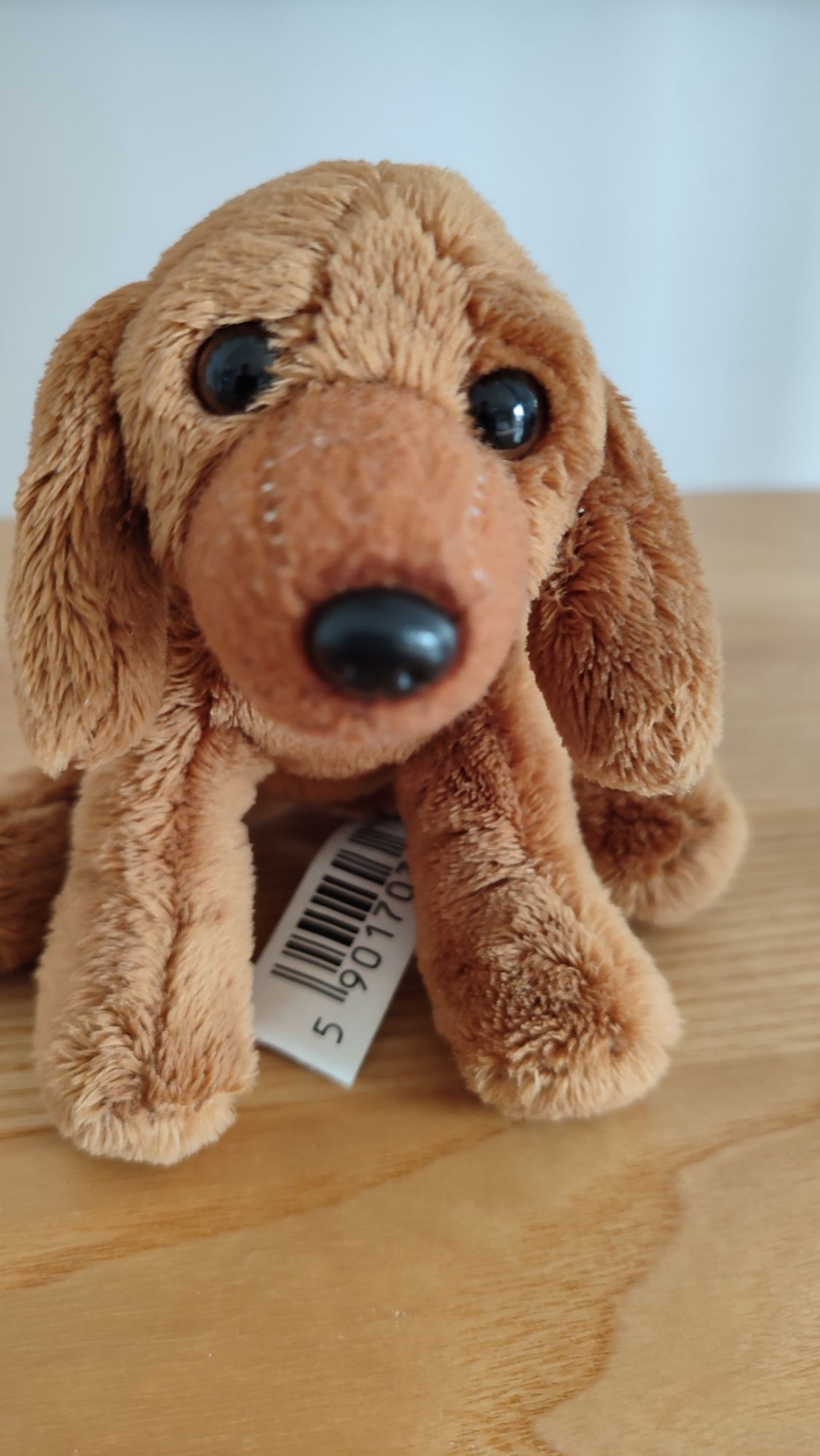 Maskotka brązowy piesek Cocker Spaniel 12302 Beppe pluszak