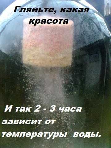 Технопланктон *Весенний Толстолоб * ДАФНИЯ-КРИЛЬ".Холодная вода! Карп.
