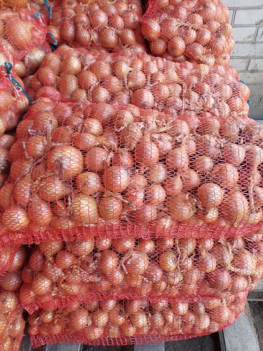 Морква,  цибуля, буряк, картопля