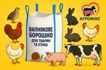 вапнякове борошно, мел, кальцієва добавка, крейда, крейда кормова