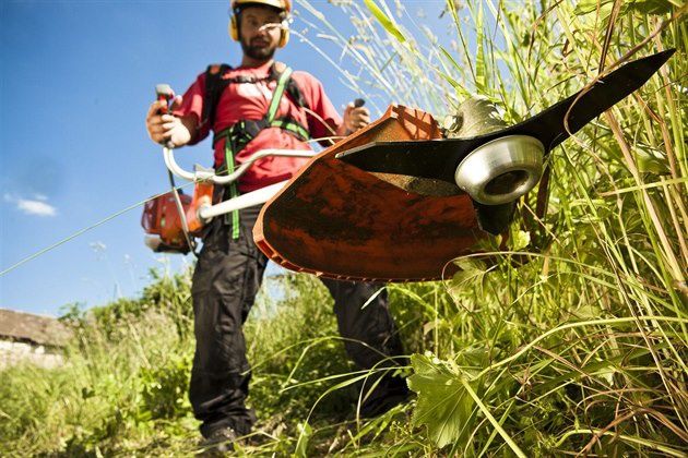 Czyszczenie działek Wycinka drzew