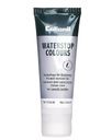 Collonil Waterstop Colours 75 ml Pasta do butów, impregnat szara 229