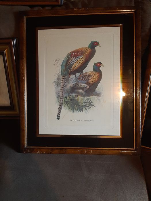 Quadros varios antigos