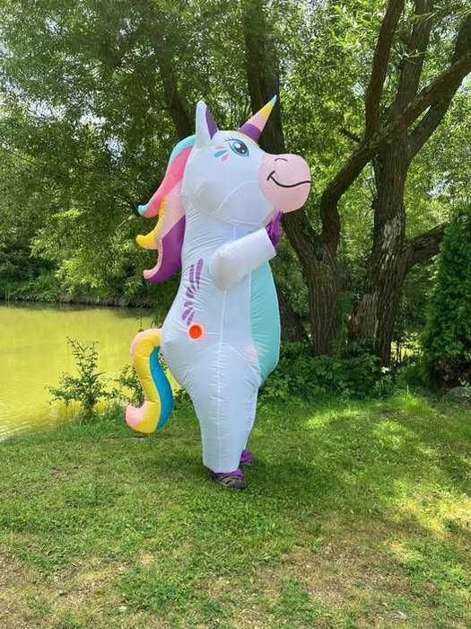 MISIU TISIU Stitch Misie MIŚ na imprezy – animacje urodziny eventy