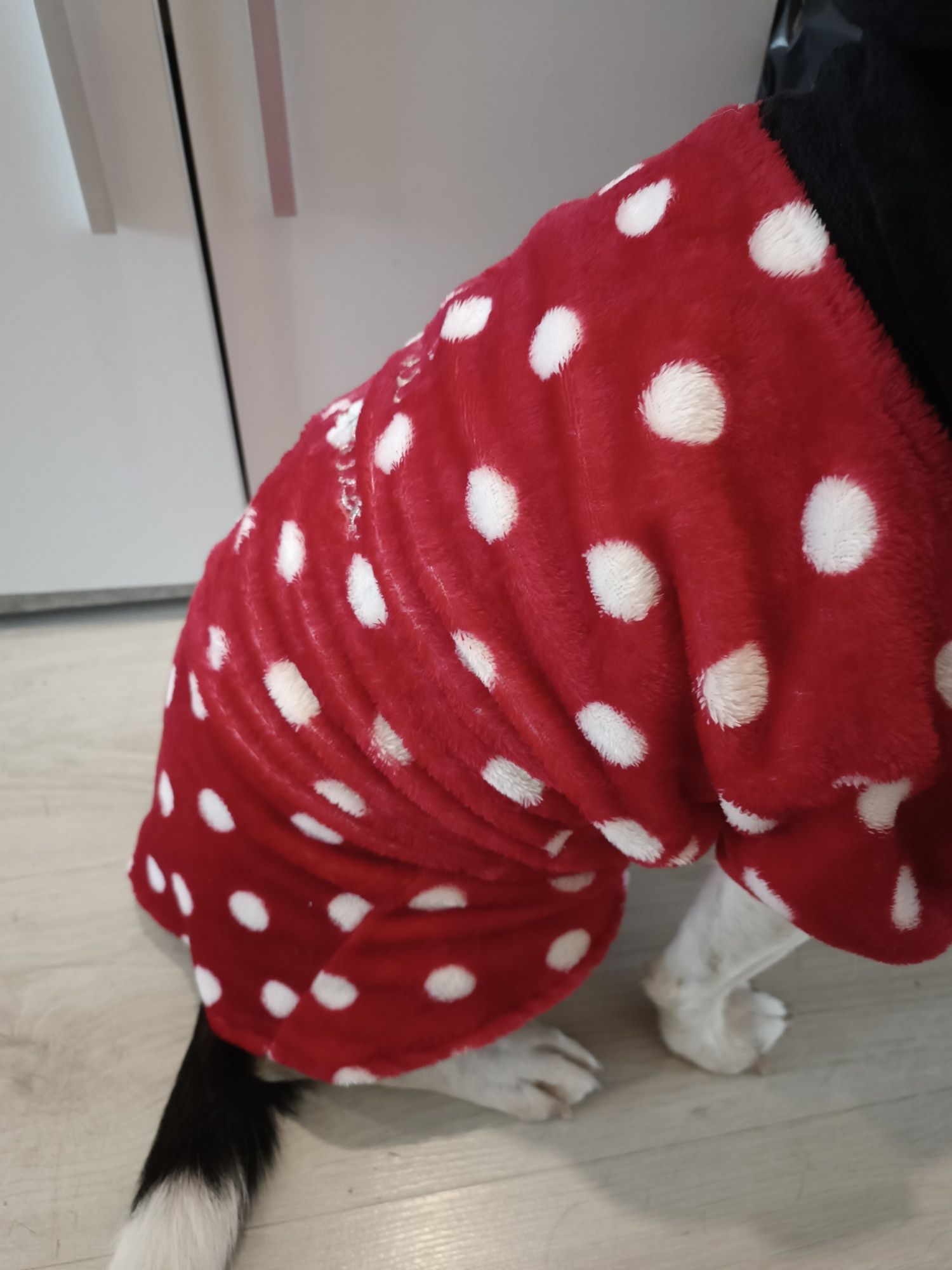 Casaco/Capa da Minnie para Cão