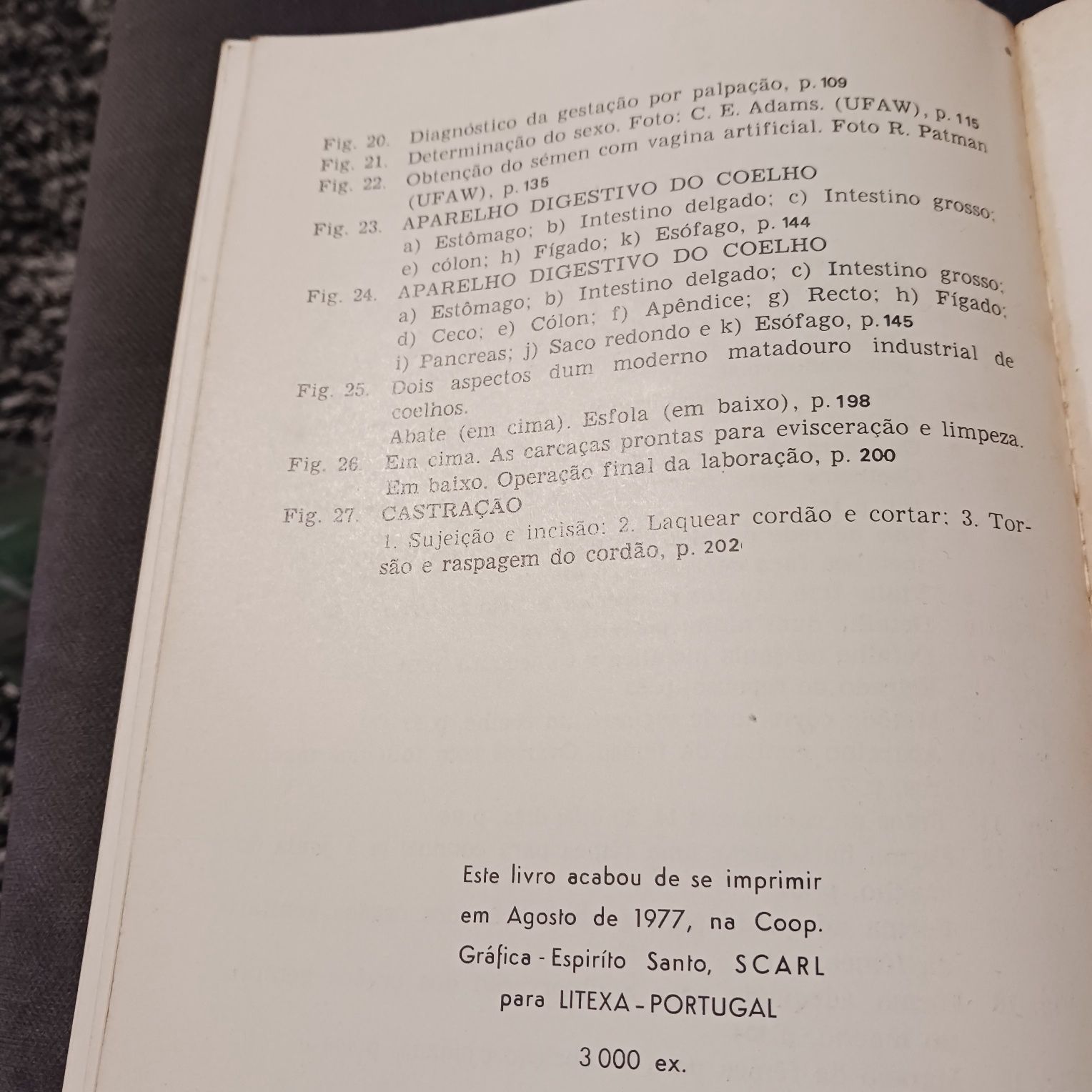 Livro coelhos Alojamento e maneio